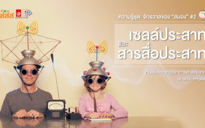 ความรู้ชุด: จักรวาลของ “สมอง”