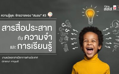 ความรู้ชุด: จักรวาลของ “สมอง”