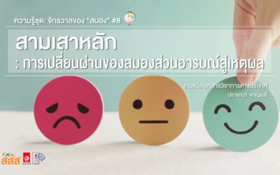 ความรู้ชุด: จักรวาลของ “สมอง”